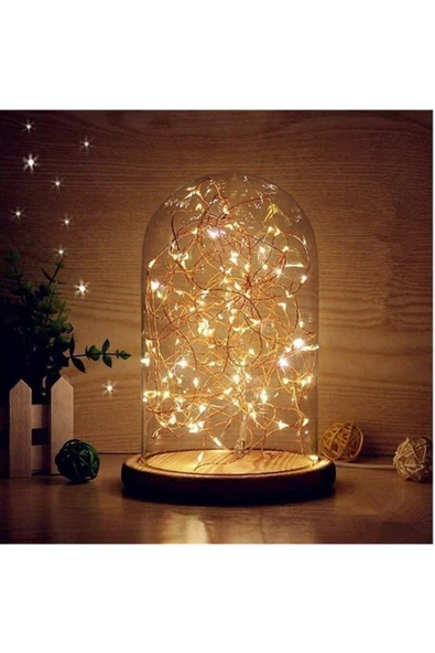 Pazariz 10mt Peri Günışığı 100 Led Pilli Noel Parti Yılbaşı Ağaç Dekor Aydınlatma Lamba Animasyonlu Süsleme ürün görseli 1