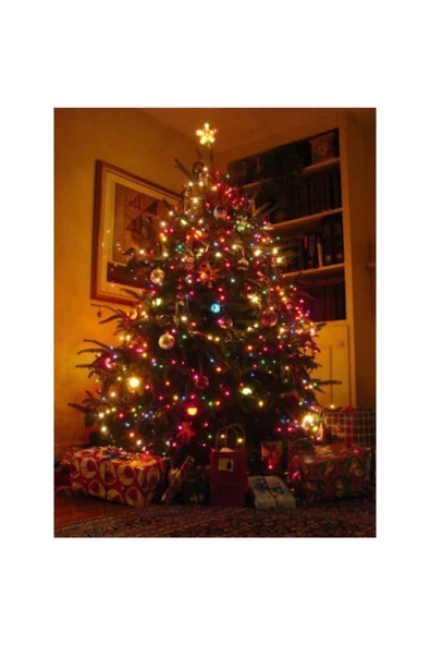 Pazariz 10mt Rgb 100 Led Fişli Noel Parti Yılbaşı Ağaç Dekoratif Aydınlatma Lambası Animasyonlu Süsleme ürün görseli 1