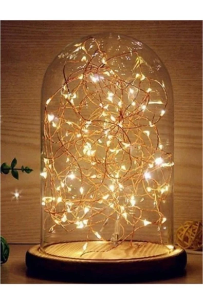 Pazariz 5mt Peri Günışığı 50 Led Pilli Noel Parti Yılbaşı Ağaç Dekor Aydınlatma Lamba Animasyonlu Süsleme ürün görseli