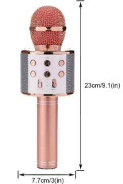 Pazariz Şarj Edilebilir Telefon Ve Usb Bağlantılı Şarkı Karaoke Mikrofon - Resim 2