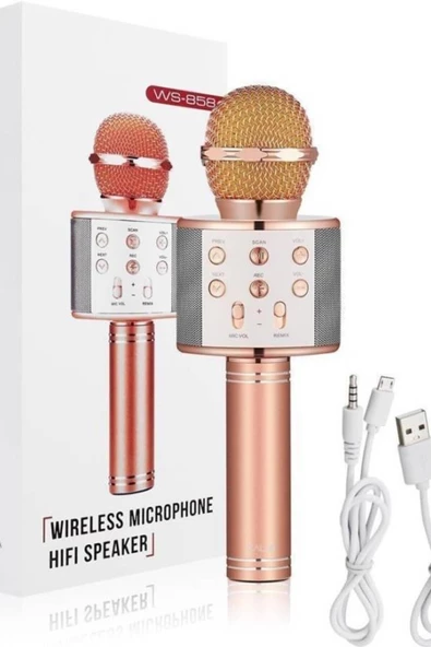 Pazariz Şarj Edilebilir Telefon Ve Usb Bağlantılı Şarkı Karaoke Mikrofon ürün görseli 1