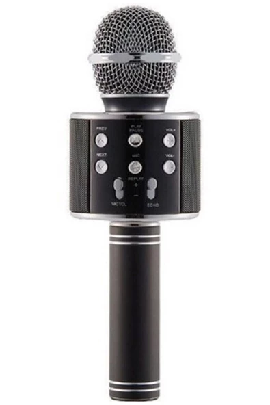 Pazariz Karaoke Mikrofon Dahili Hoparlörlü Usb Flash Destekli - Resim 3