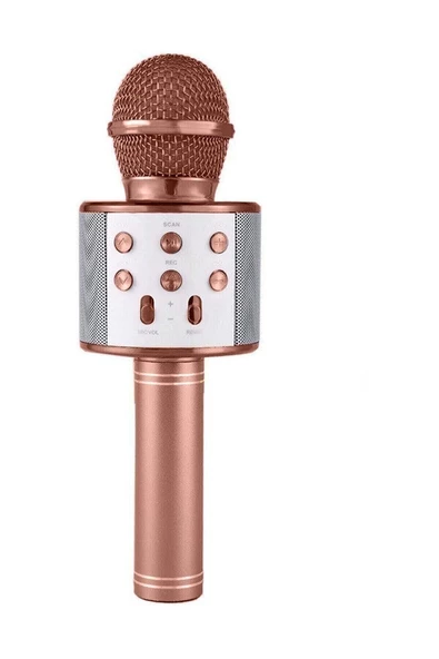 Pazariz Karaoke Mikrofonlu Hoparlör - Şarjlı -Bluetooth Rose Gold