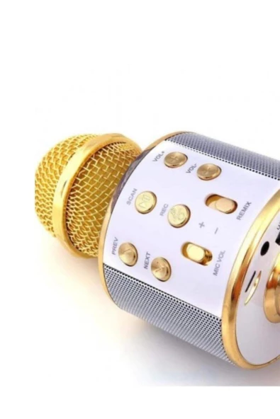 Pazariz Şarj Edilebilir Telefon Ve Usb Bağlantılı Şarkı Karaoke Mikrofon - Resim 3