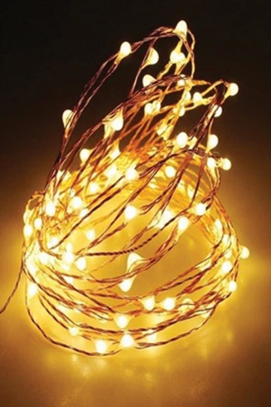 Pazariz Bakır Tel Peri Led 2 Metre Pilli Ge3001