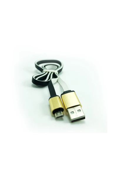 Pazariz Blueinter Samsung Uyumlu Usb Gold Uçlu Şarj Kablo