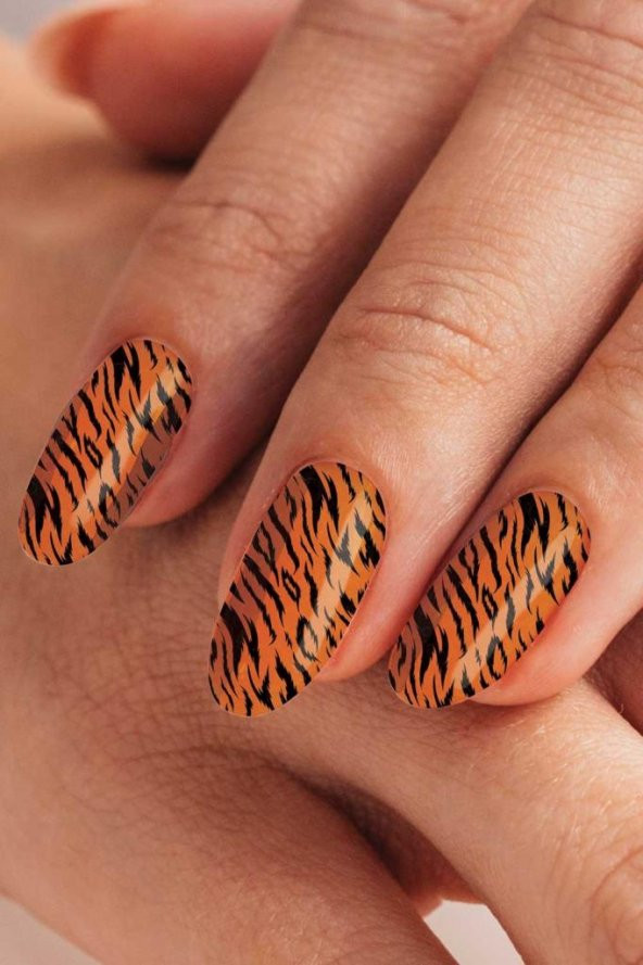 Renkli Zebra Tırnak Dövmesi,Tırnak Tattoo,Nail Art ,Tırnak Sticker ürün görseli 1