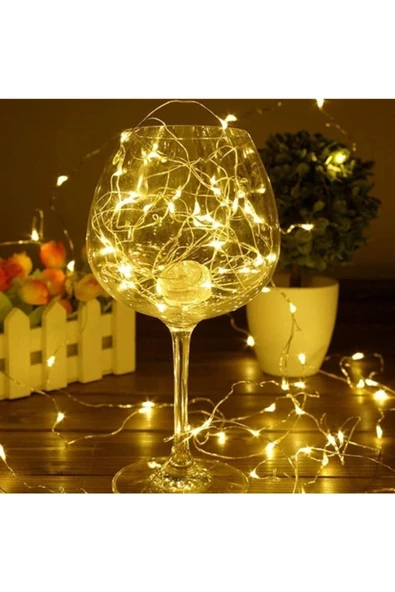 Pazariz Pilli Tel Peri Led 10 Metre Sarı - Resim 3