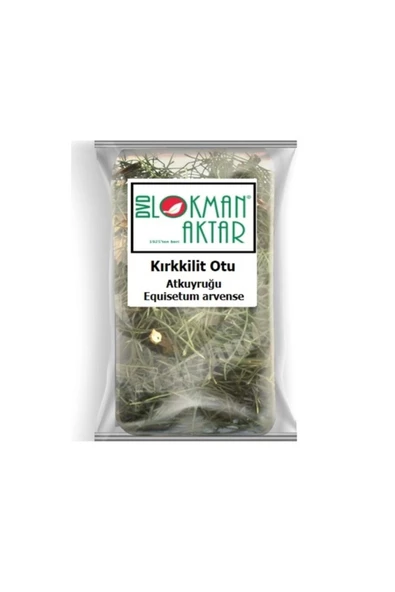 Kırkkilit Otu (atkuyruğu) 500 Gr, Lokman Aktar