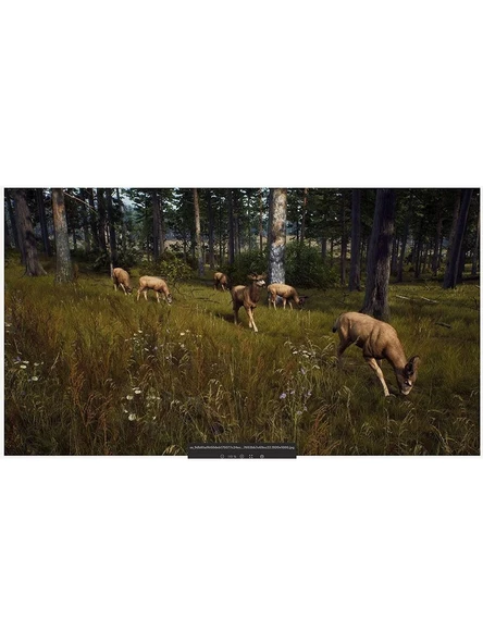 Way Of Hunter - PS5 Oyun - 3