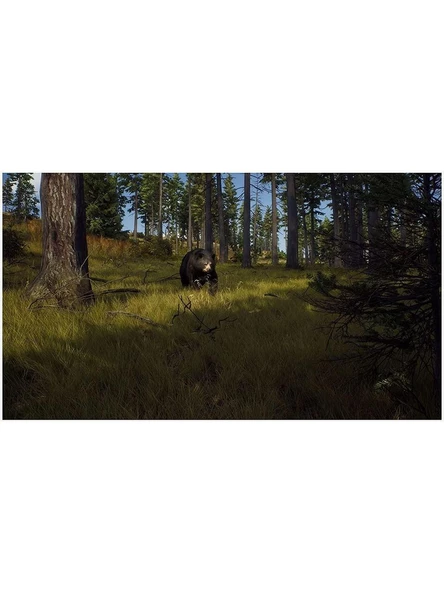 Way Of Hunter - PS5 Oyun - 2