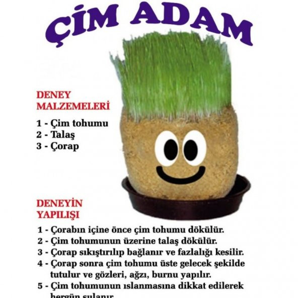 Çim Adam Yapım Seti, Çimlendirme 10 Adet, Eğitici Çim Adam, STOKTAN AYNI GÜN ÜCRETSİZ KARGO - 2