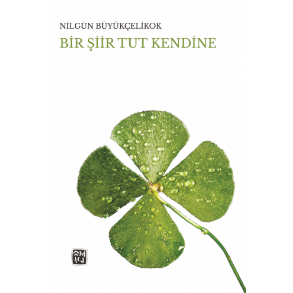 Bir Şiir Tut Kendine - Nilgün Büyükçelikok