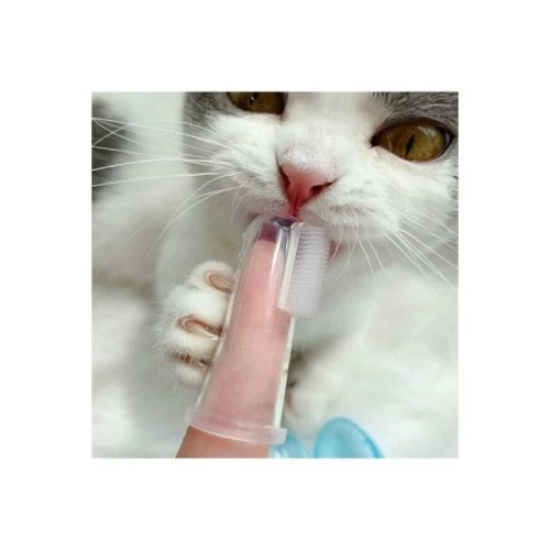 Kedi Köpek Diş Temizleme Fırçası - 3