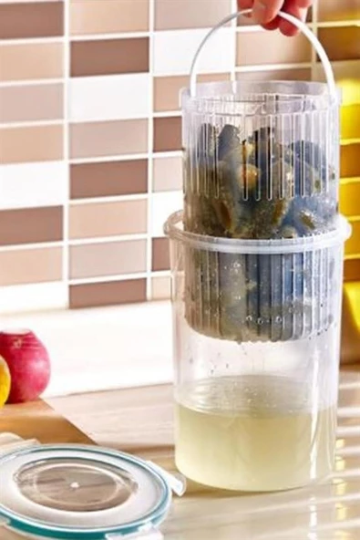 Woody Sofia Zeytin Turşu Sebze Yıkama Kutusu Klipsli Kapaklı Saklama Kabı - 5