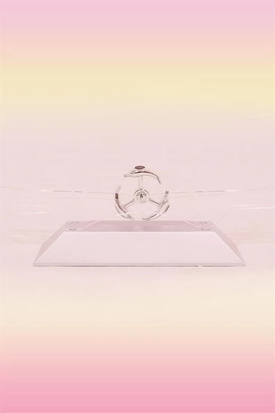 Woody Sofia Dekoratif Masa Üstü Obje Manyetik Kinetik Orbital Dönen Yunuslar - 4