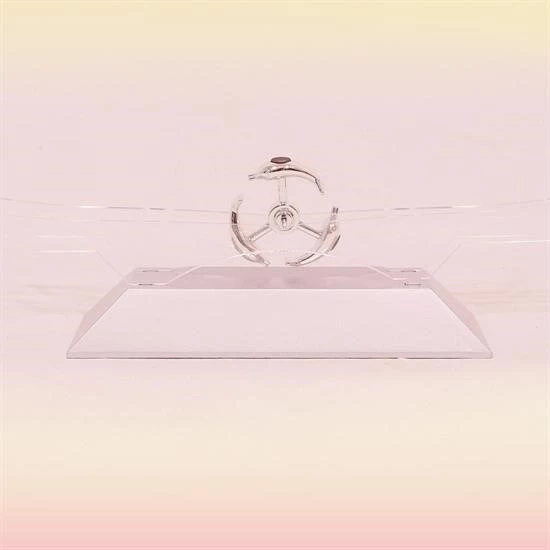 Woody Sofia Dekoratif Masa Üstü Obje Manyetik Kinetik Orbital Dönen Yunuslar