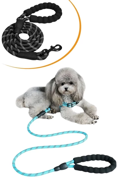 Woody Sofia Reflektörlü Fosforlu Köpek Gezdirme Halatı Tasma Kayışı Metal Kancalı 130 cm - 6