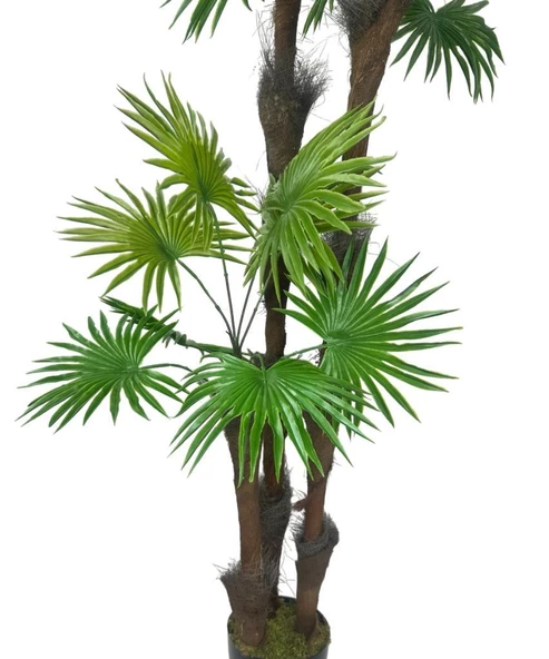 Nettenevime 5 ADET  Kurutulmuş Palmiye Ağacı Kabuğu Lifi Natural Ağaç Gövdesi Kokos - Resim 6