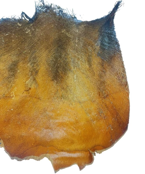 Nettenevime 5 ADET  Kurutulmuş Palmiye Ağacı Kabuğu Lifi Natural Ağaç Gövdesi Kokos - Resim 4