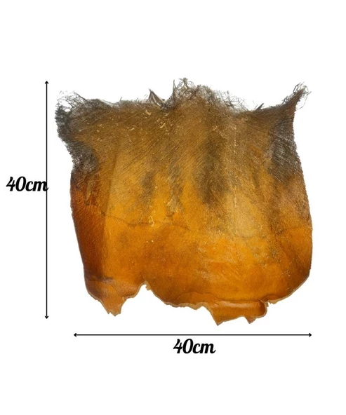 Nettenevime 5 ADET  Kurutulmuş Palmiye Ağacı Kabuğu Lifi Natural Ağaç Gövdesi Kokos - Resim 5