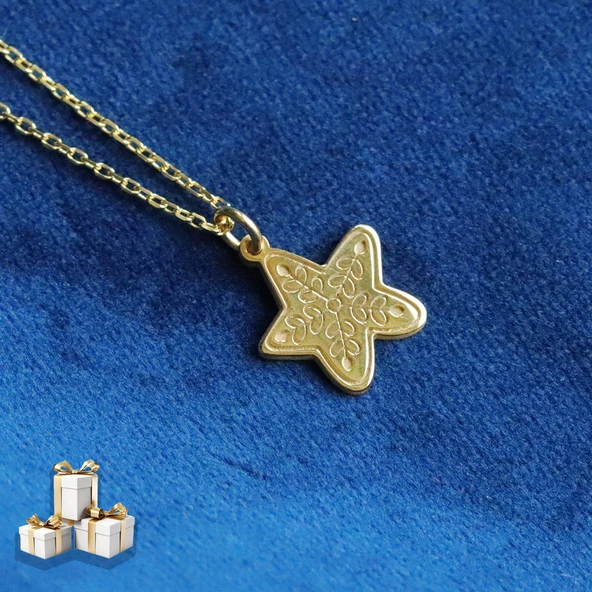 Yıldız Yılbaşı Mini Gümüş Kolye ürün görseli 1