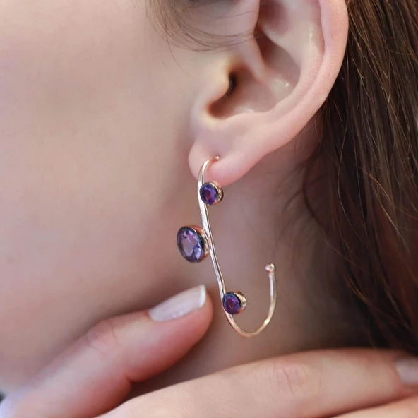 Ametist Taşlı Dal Model Rose Gold Kaplama Gümüş Küpe - Resim 4