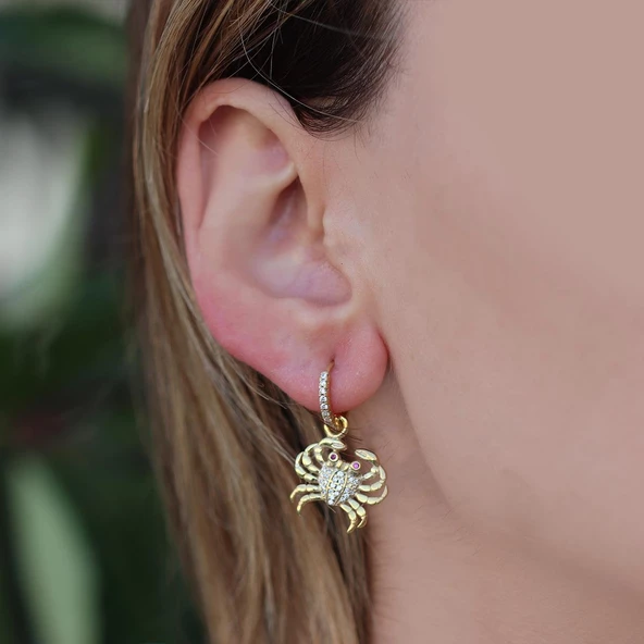 Yengeç Gümüş Küpe - Resim 2