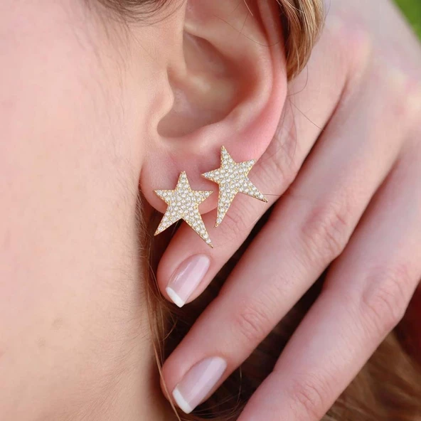 Yıldız Zirkon Taşlı Gold Kaplama Gümüş Küpe ürün görseli 1