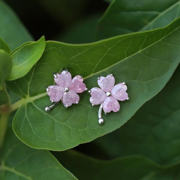 Pembe Zirkon Taşlı Yonca Gümüş Küpe ürün görseli 1