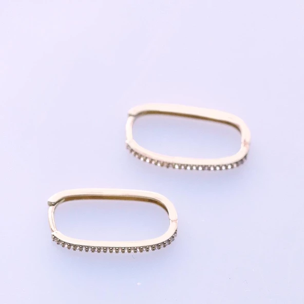 Zirkon Taşlı Gold Kaplama Halka Gümüş Küpe - Resim 2