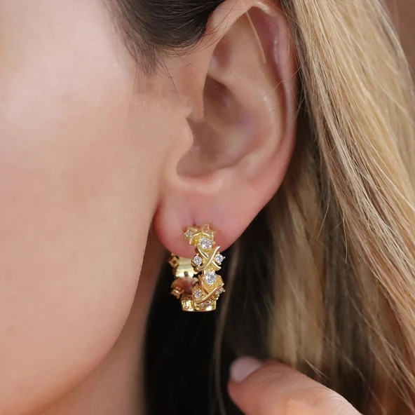 Zirkon Taşlı Daire Tffny Modeli Gold Kaplama Gümüş Işıltı Küpe ürün görseli 1