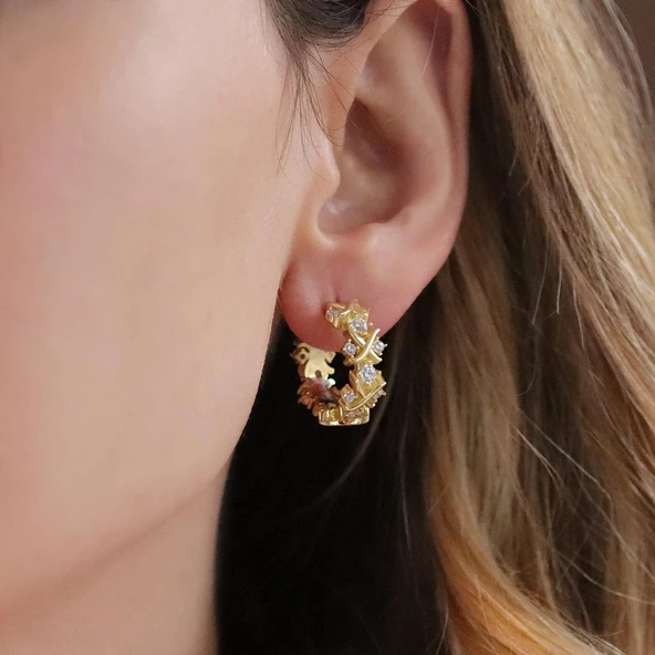 Zirkon Taşlı Daire Tffny Modeli Gold Kaplama Gümüş Işıltı Küpe - Resim 3