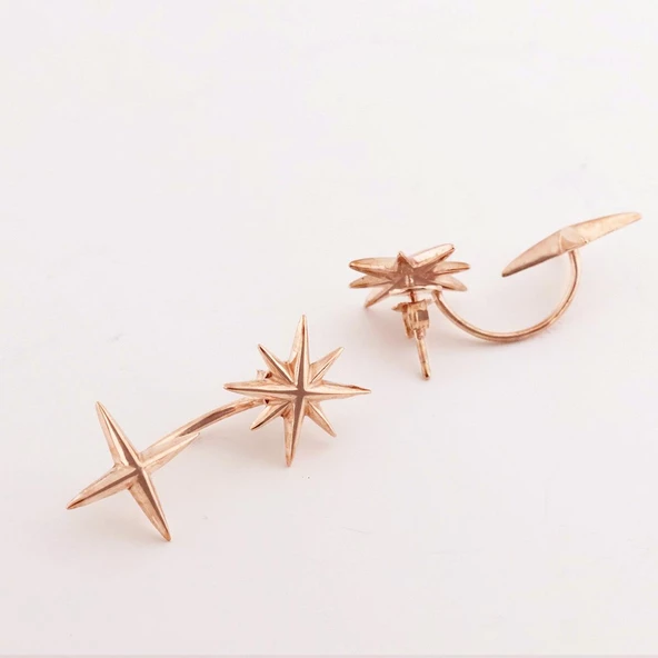 Rose Gold Kaplama Lodestar Gümüş Küpe - Resim 3