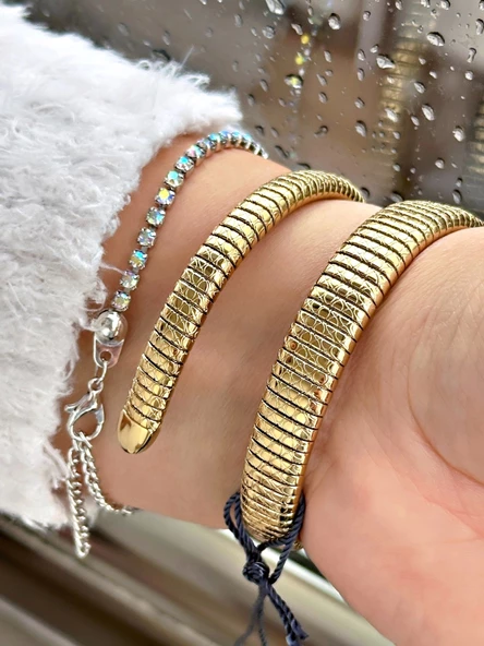 Beverly Hills Polo Club BP3747C.170 Yılan Model Kadın Kol Saati - Resim 2