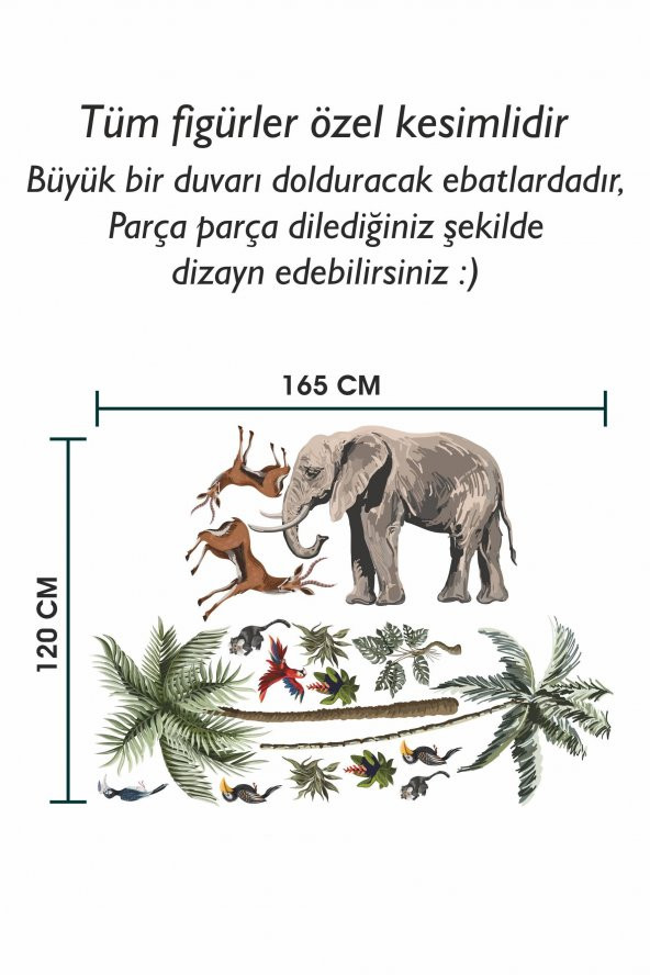 Fil, Kuşlar ve Ağaçlar Safari Tropikal Hayvanlar ve Ağaçlar Çocuk Bebek Odası Duvar Sticker - 3