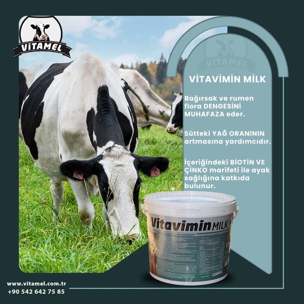 Vitavimin MİLK Sağmal Inekler Için Yem Katkı Maddesi - 4