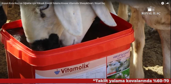 Royal İlaç Vitamolix Sheep And Goat 22,5 kg (Koyun-Keçi-Oğlak Için) - 5