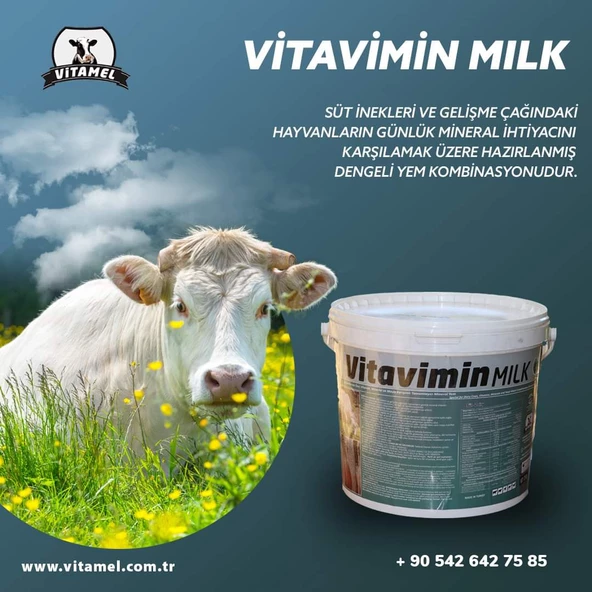 Vitavimin MİLK Sağmal Inekler Için Yem Katkı Maddesi - 2