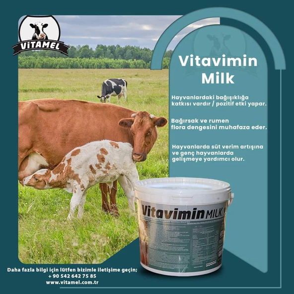 Vitavimin MİLK Sağmal Inekler Için Yem Katkı Maddesi