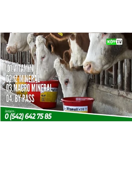 Vitamel Extra Yalama Kovası (Melas Bazlı-Bypass Yağlı) 25 kg Kova - 2