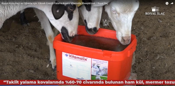Royal İlaç Vitamolix Sheep And Goat 22,5 kg (Koyun-Keçi-Oğlak Için) - 2