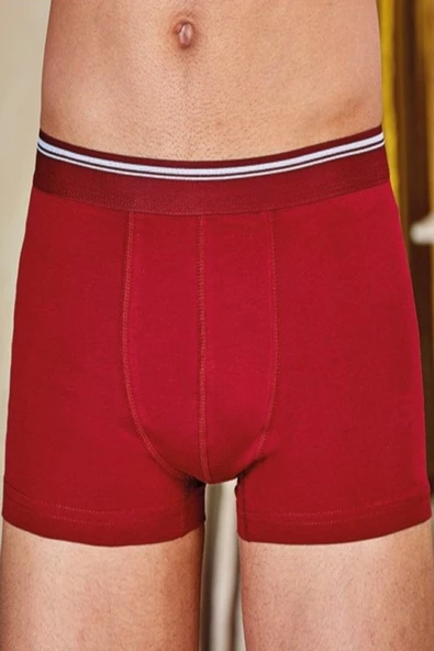 Berrak 1097, 5'li Paket Erkek Pamuklu Likralı Boxer Short 1097-5 - 7