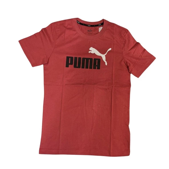 PUMA ESS 2 COL LOGO TEE ERKEK TSHİRT - 2