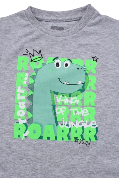 Sevimli Dinozar Baskılı Erkek Bebek Tshirt bipamuk - 2