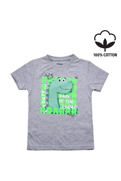 Sevimli Dinozar Baskılı Erkek Bebek Tshirt bipamuk - 5