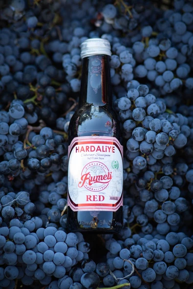 Rumeli Hardaliye 200 ml Meşhur Kırklareli Hardaliye - 3