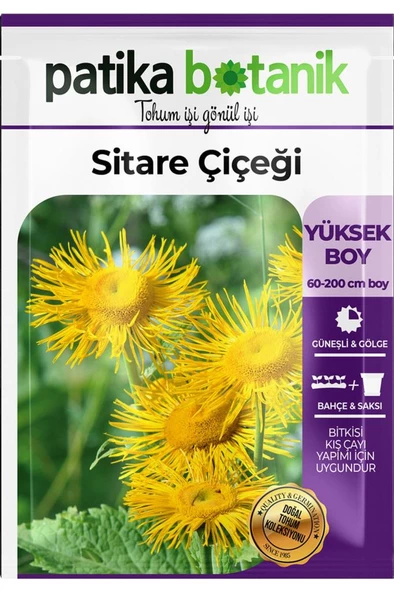 30 Adet Sitare Çiçeği Tohumu - 2