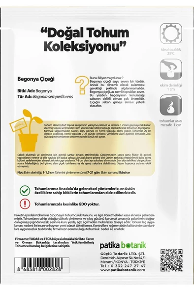 20 Adet Yeşil Yapraklı Begonya Tohumu - 3