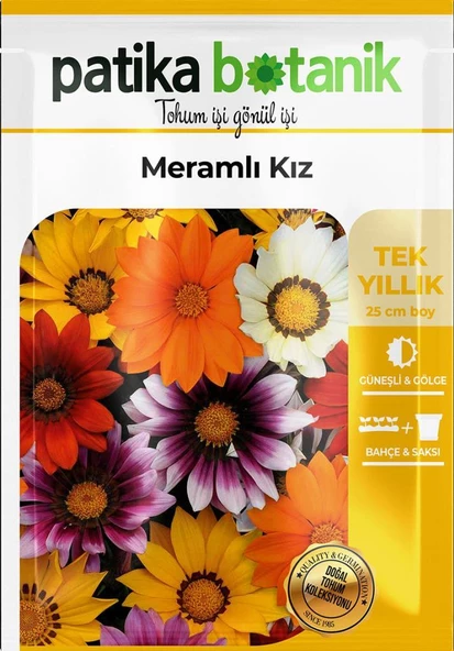 20 Adet Meramlı Kız (gazania Splendens) Çiçek Tohumu - 2